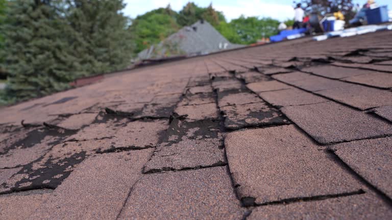 Fast & Reliable Emergency Roof Repairs in New Haven, MI