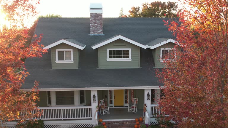 Best Roof Moss and Algae Removal  in New Haven, MI