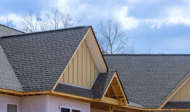 Best Skylight Installation and Repair  in New Haven, MI
