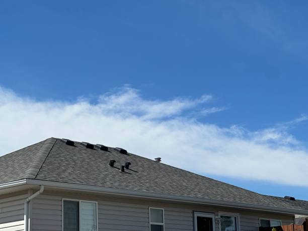 Best Asphalt Shingle Roofing  in New Haven, MI